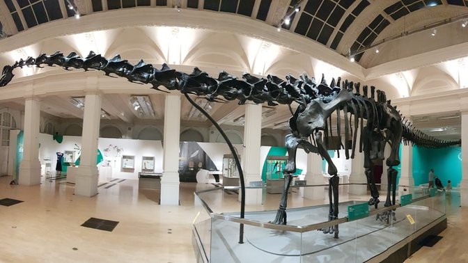 Birmingham Museum & Art Gallery