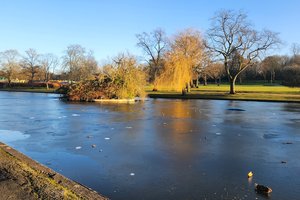 Cannon Hill Park