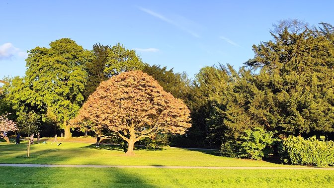 Cannon Hill Park