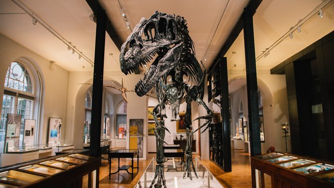 Lapworth Museum of Geology