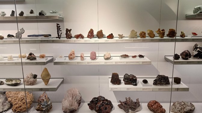 Lapworth Museum of Geology