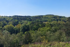 Lickey Hills Country Park