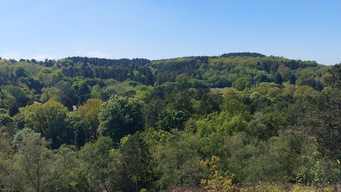 Lickey Hills Country Park