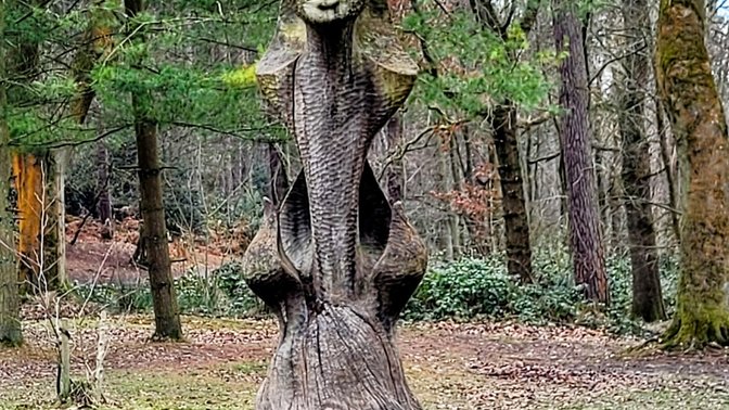 Lickey Hills Country Park
