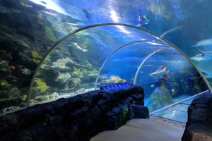 National SEA LIFE Centre Birmingham
