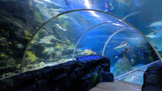 National SEA LIFE Centre Birmingham