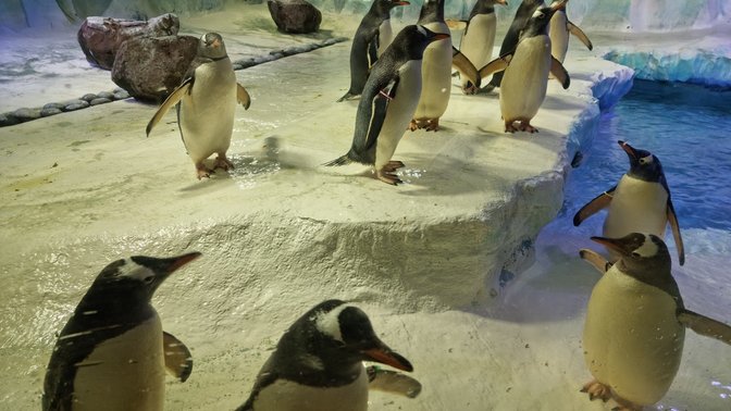 National SEA LIFE Centre Birmingham