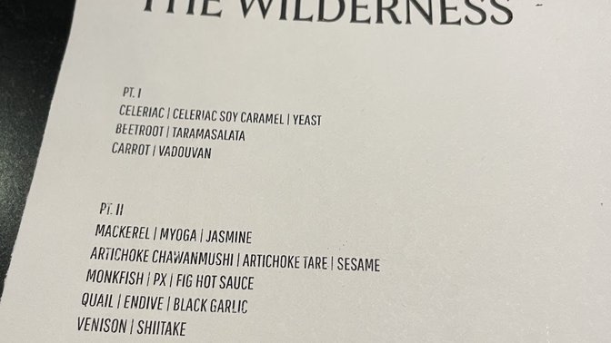 The Wilderness