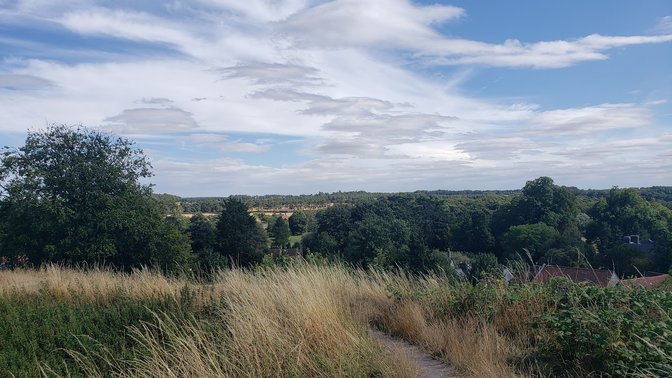 Thetford Castle