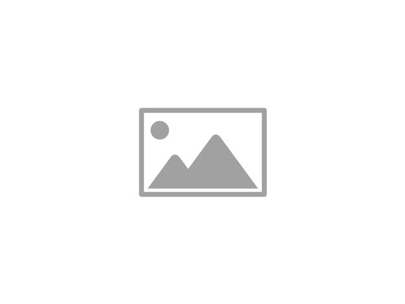Placeholder for Harmony Reggae Band