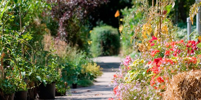 Folksy Theatre presents 'Twelfth Night' at Martineau Gardens